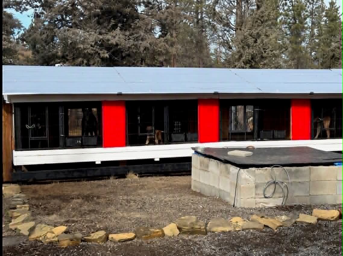 The Stellar Malinois kennel building, a long row of individual heated runs