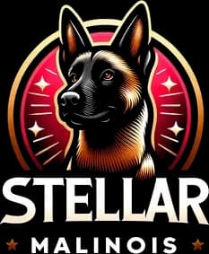 Stellar Mainois