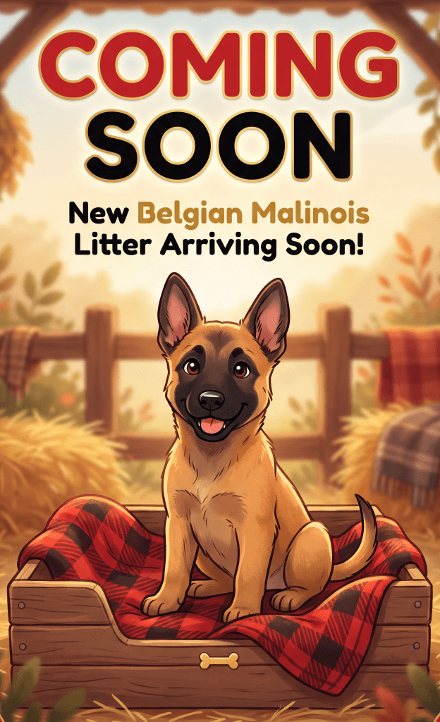 Coming Soon 3